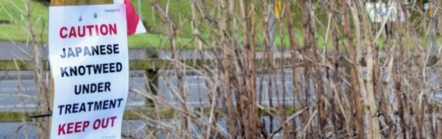 Keep out sign Japanese Knotweed under treatment